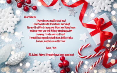 Yeti’s Letter to Santa