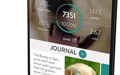 The FitBark GPS is a must have for any dog owner!
