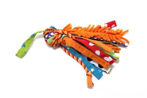 Nylabone Moppy